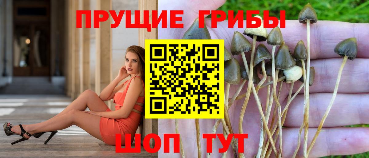Галлюциногенные грибы прущие грибы  дарнет шоп  Калуга  Вход с VPN 